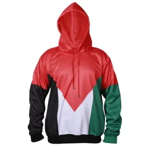 Palestine Flag Hoodie - Image 2
